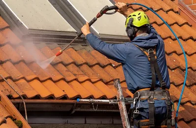 Démoussage et hydrofuge de toiture à Arrigas